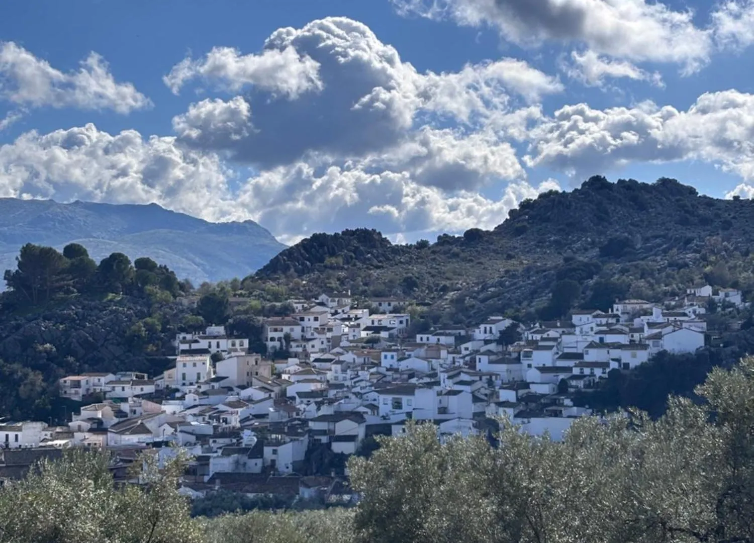 Casa Rural En Montejaque Con Patio Andaluz, Chimenea Y Sala Multiusos 0*,